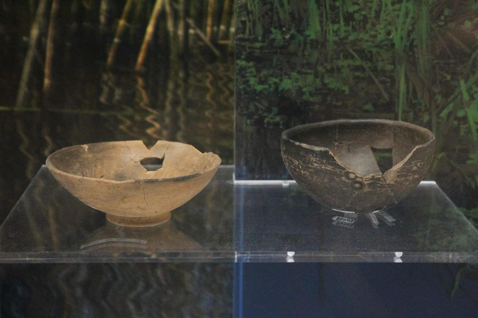 Dos cajetes de cerámica antigua sobre una base de acrílico, con una imagen de la laguna al fondo